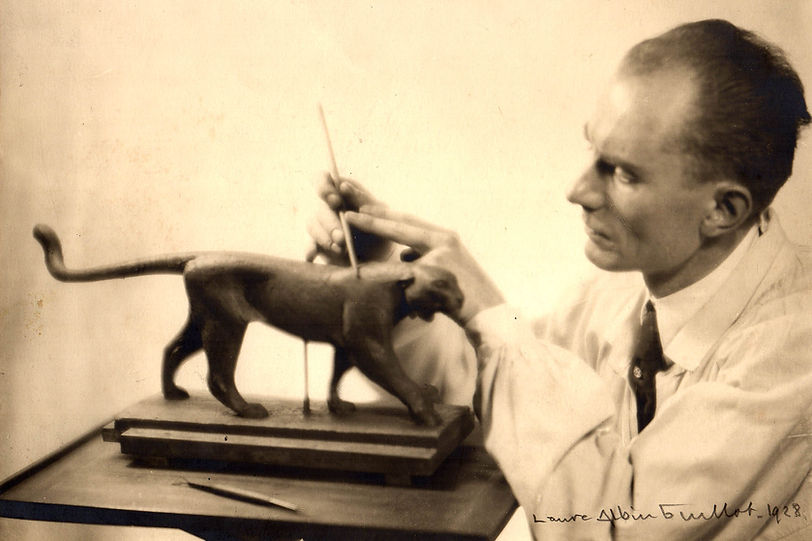 AAPEA - Armand Petersen