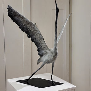 Garçin Fabien - Aigrette - prix audfray 2023 SNAA