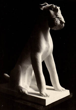 Armand Petersen - Fox-Terrier