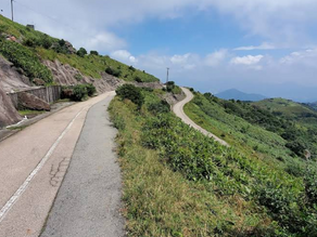 大帽山行山路線、觀景台、日出雲海、天氣資訊完整指南