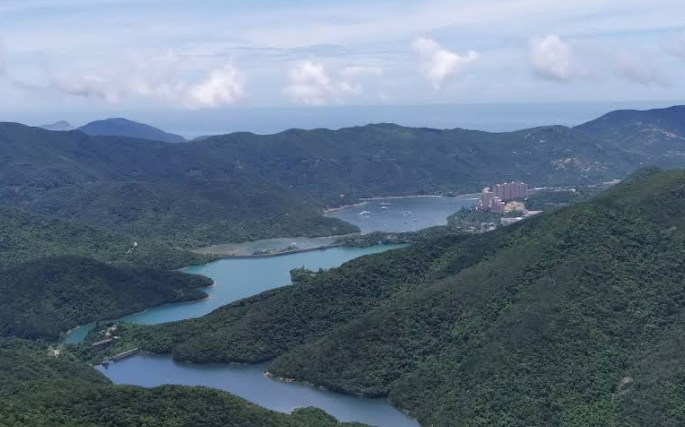 紫羅蘭山