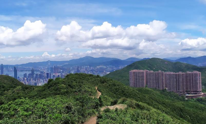紫羅蘭山