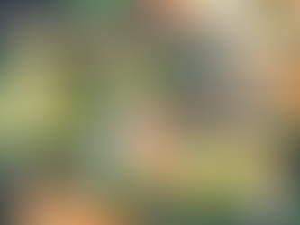 Exploring the Geology of Hong Kong: An Interactive Experience