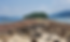 Sharp Island