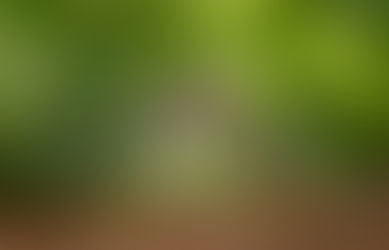 Heartworms are very real, "they can make your pets cough", and they can kill your pet.