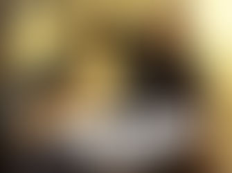 Top Gun: Maverick! Own Your Own Copy!