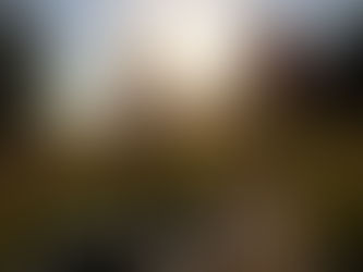 Don’t Look Back; Move On