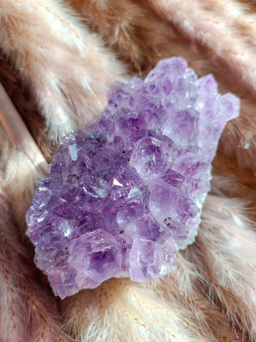 Miniature : Améthyste - Druse n°17