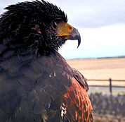 写真 2024-01-22 20 38 44 (3)_edited_edited.jpg