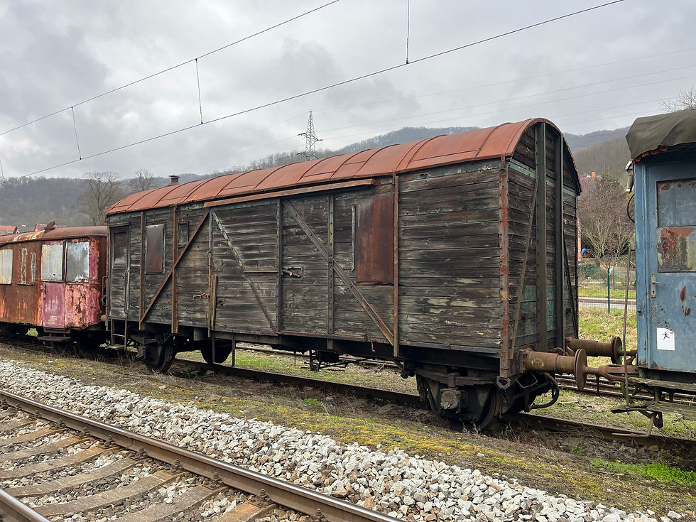Diz / D 8-3350