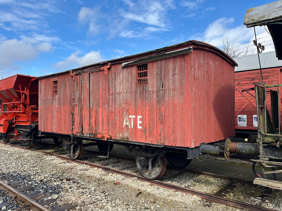 Zl 1-85599