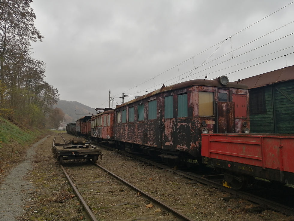 M131.1243