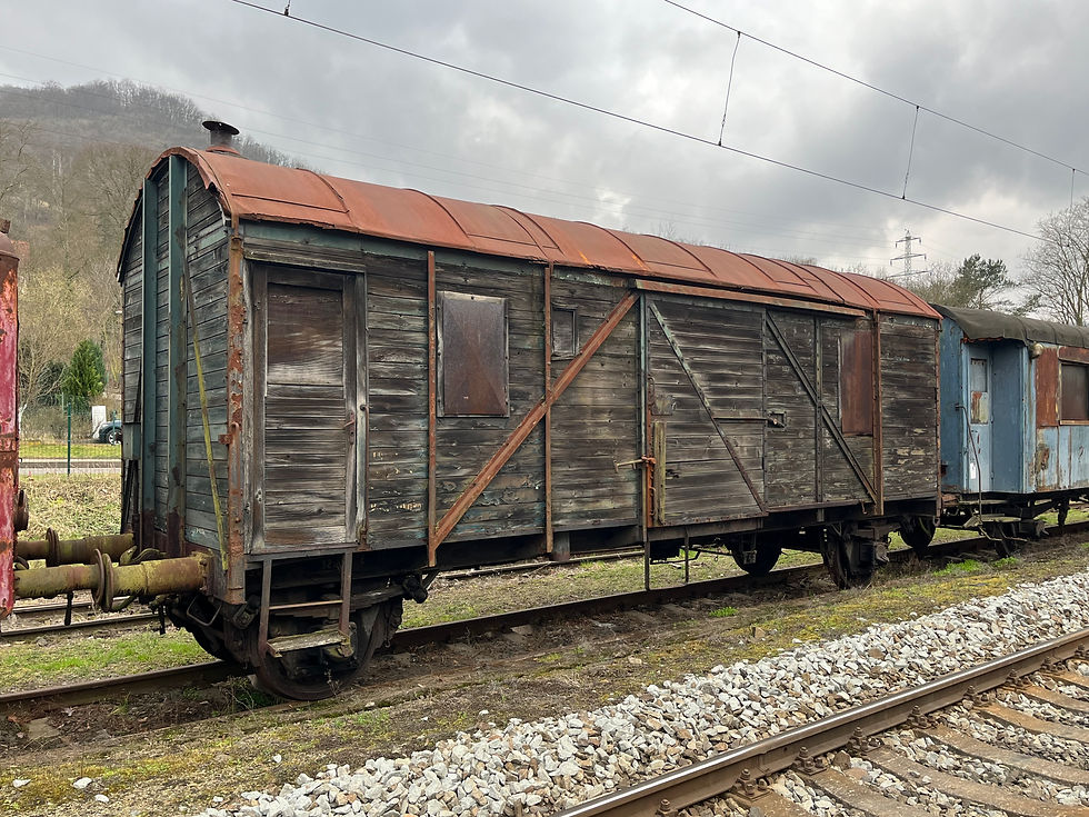 Diz / D 8-3350