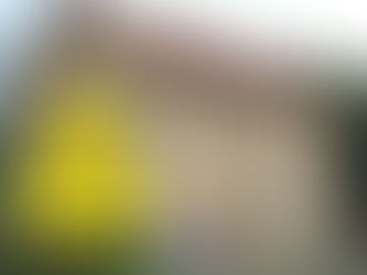 Veřejná brigáda v Úštěku