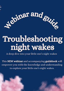 Social Media Webinar Livestream Promotion Mockup Instagram Story (Logo) (1).png