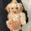 Thumbnail: Bean --Maltipoo (1103)