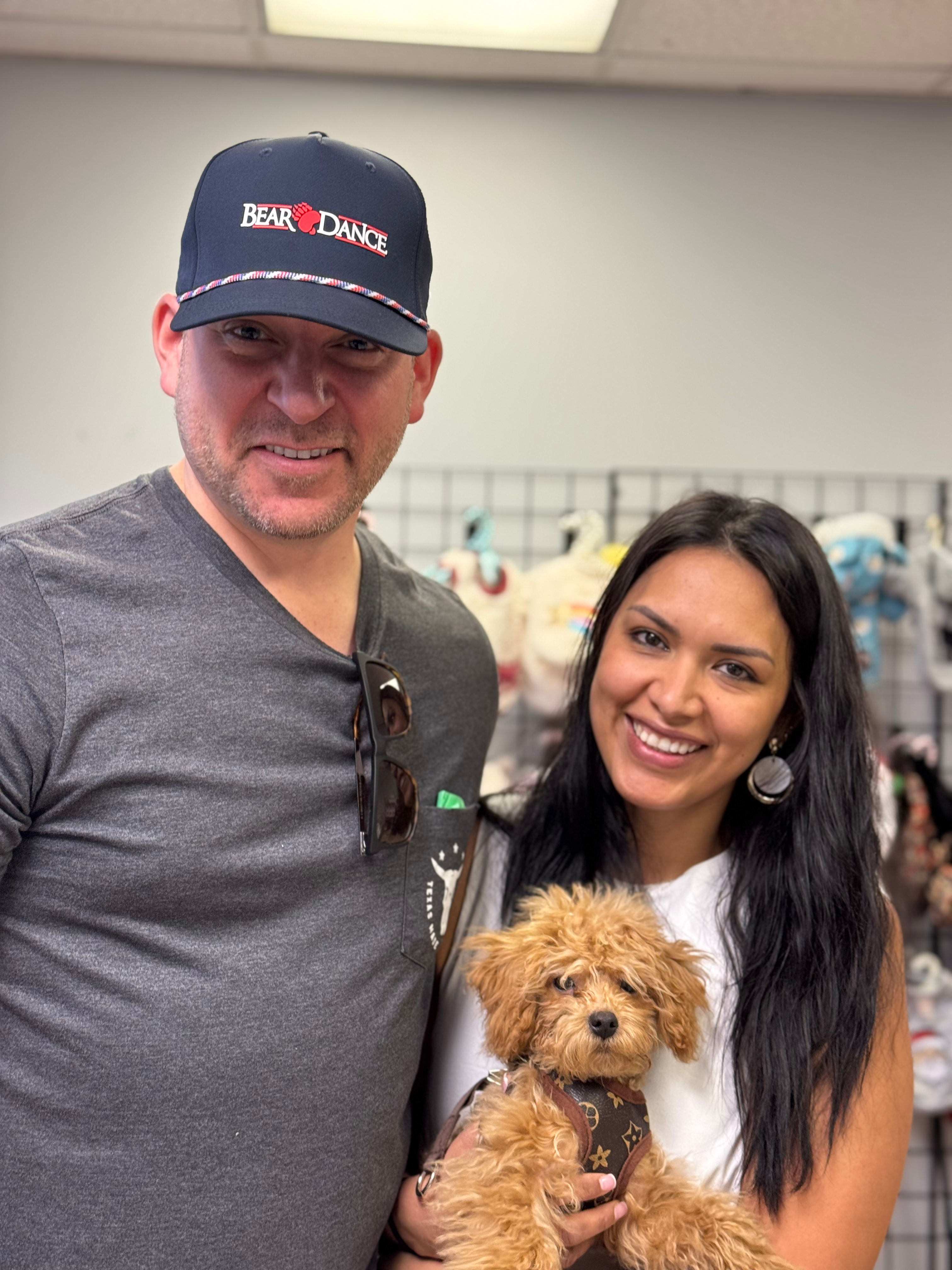 Brownie - maltipoo (1076)