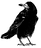 rabe.png
