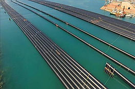 الشركة البشارية للتوريدات و التجارة, elbesharia company