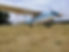 cessna2.jpg