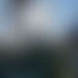 TAKE ACTION: End Reckless Logging on the Green Mountain National Forest