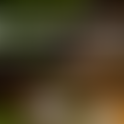 TAKE ACTION: Speak up by Nov 14 to Put Act 59 Back on Track