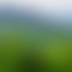 PRESS RELEASE: Concealed report could “gut” State of Vermont’s “timber management program”