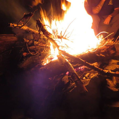 Wildlands and mental health: A Veterans Day message