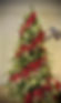 406783183_10231794298669095_5995484224403890016_n.jpg