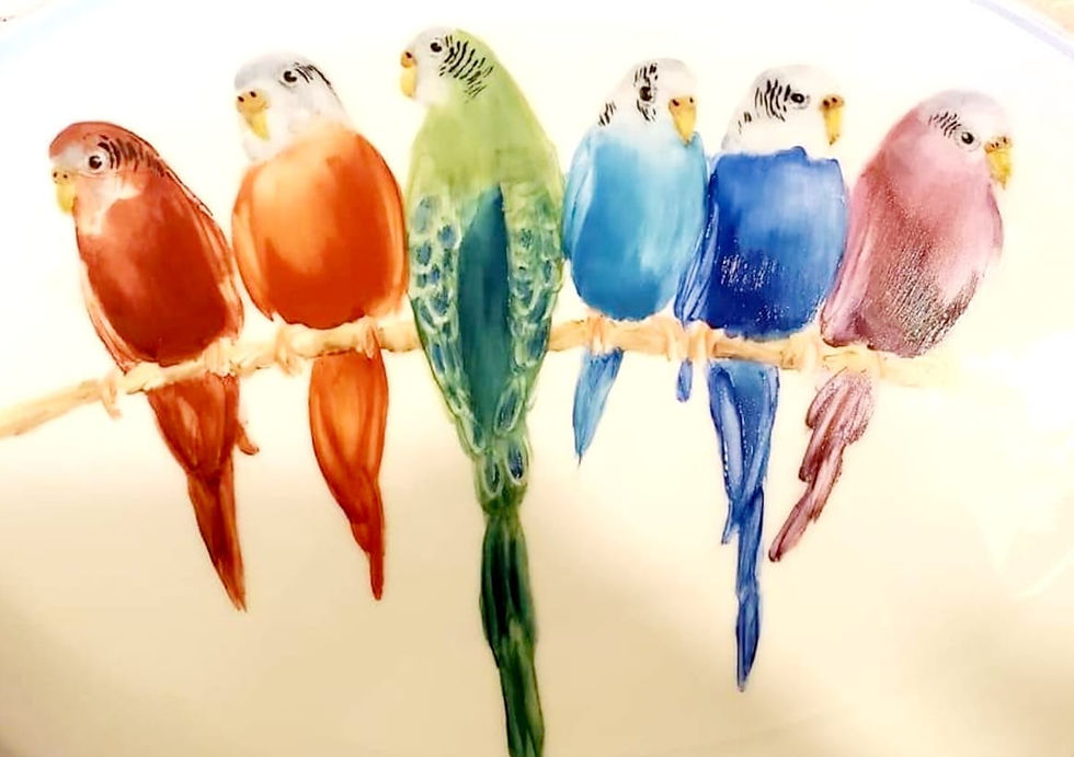 Parakeet Study