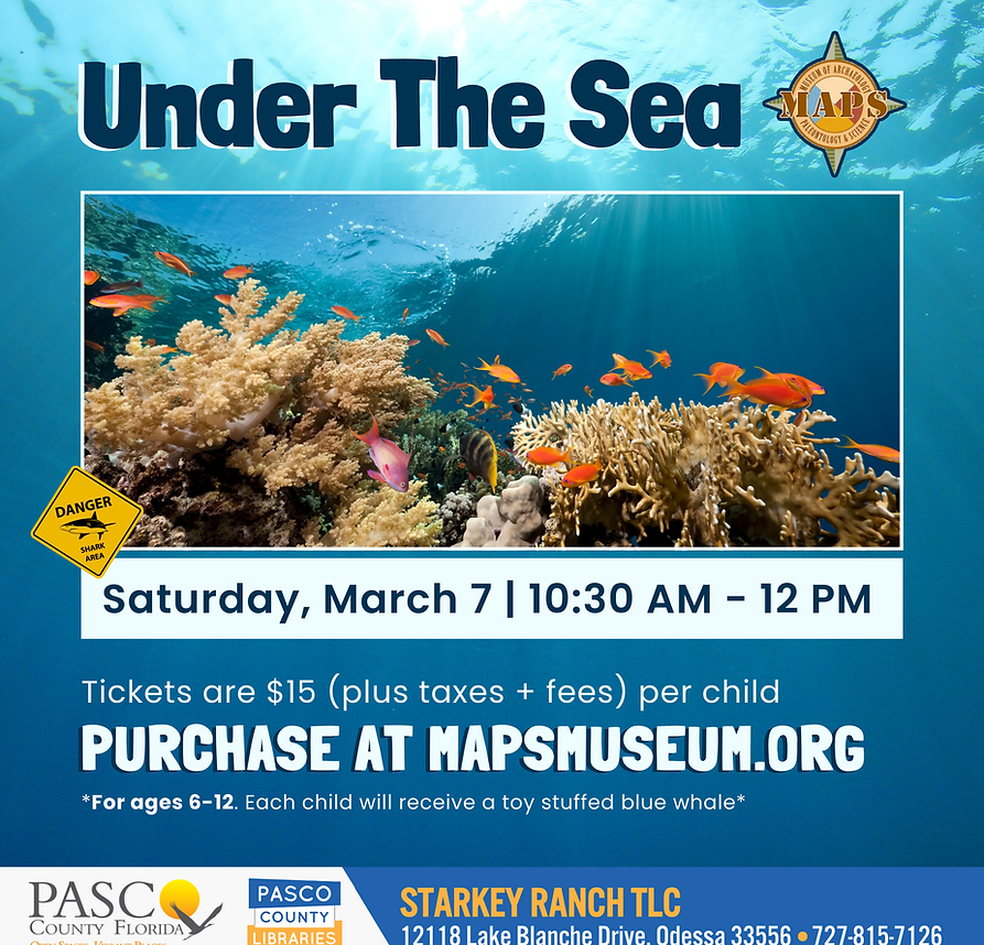 Under the Sea 2026.png