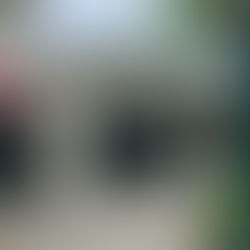 THE LATEST ON MAX’S RESTAURANT…POPULAR BBQ SPOT CLOSED