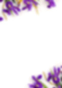 AdobeStock_324591038_edited.jpg