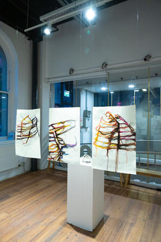 Anushiya Sundaralingam: Passages exhibition at University of Atypical, Belfast. Contemporary installation - photo 1