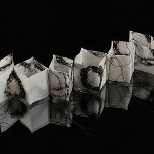Rip It Up And Start Again art exhibition by Anushiya Sundaralingam, Tamil Sri Lankan artist