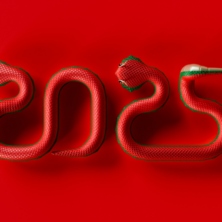 Ano Novo Chinês 2025: Serpente de Madeira e um Novo Ciclo de Bem-Estar e Autocuidado