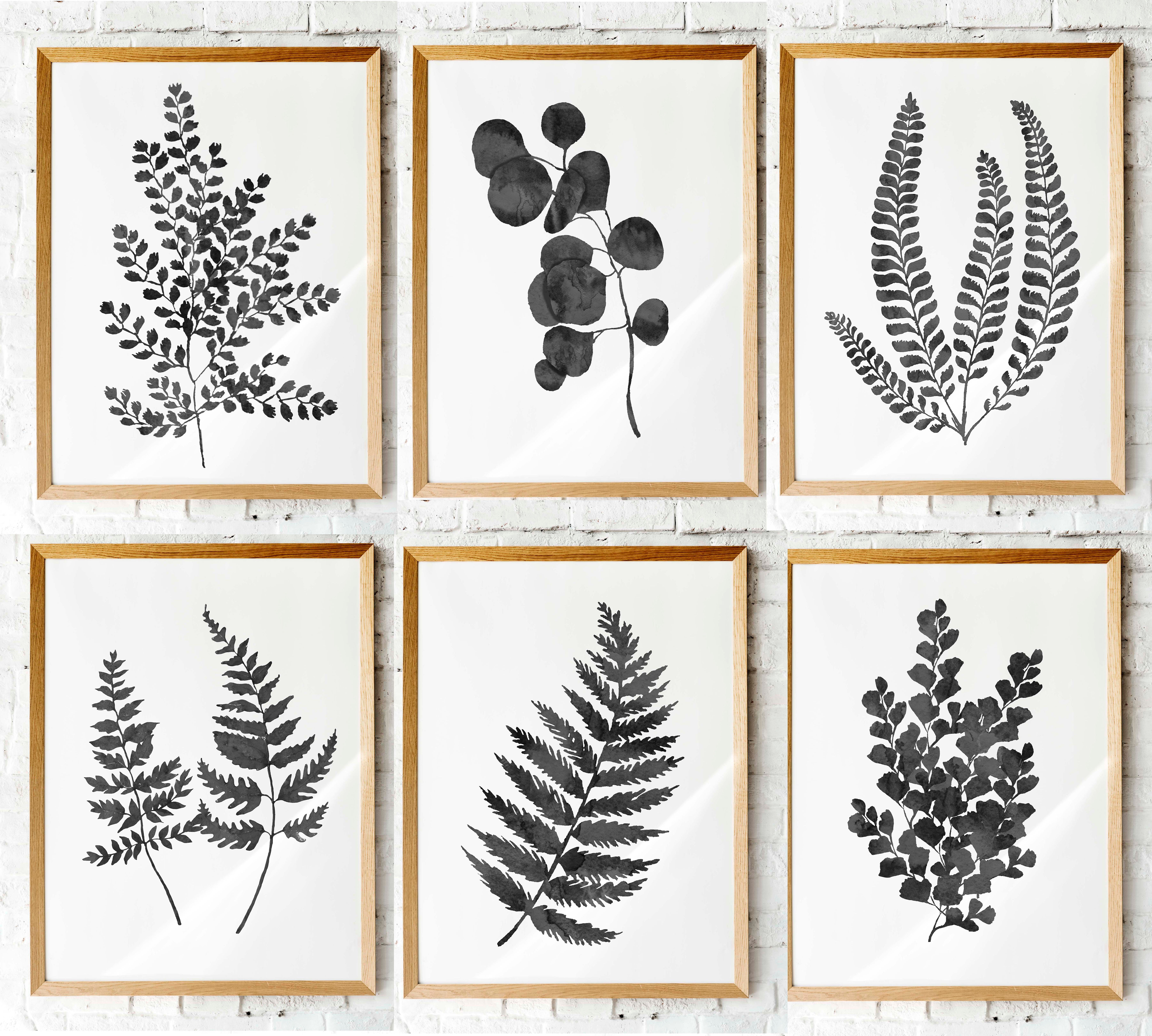 Set of six black ink fern printables | botanical wall art