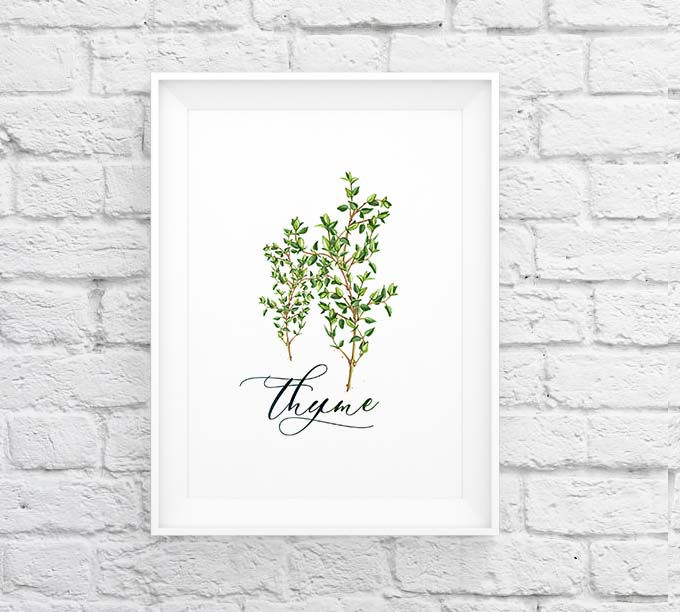 Thumbnail: Watercolor herbs set of 4 Thyme Coriander Rosemary Mint | Printable