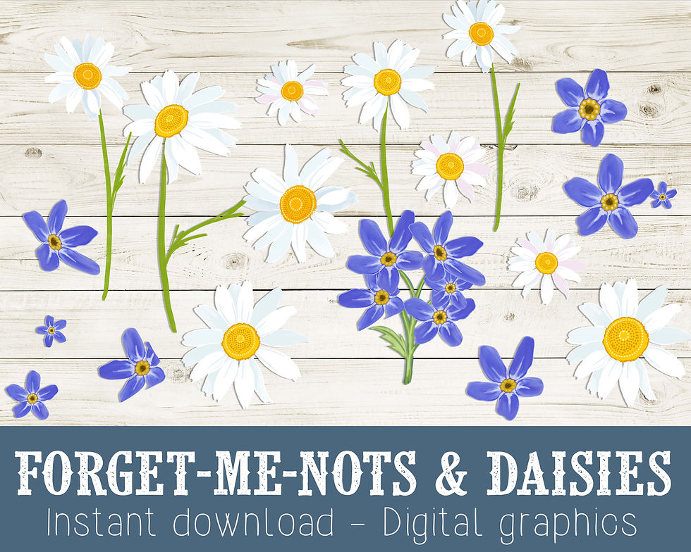 Honey bee clipart, bee graphic images, bee illustrations, daisies, forget-me-nots, Honey