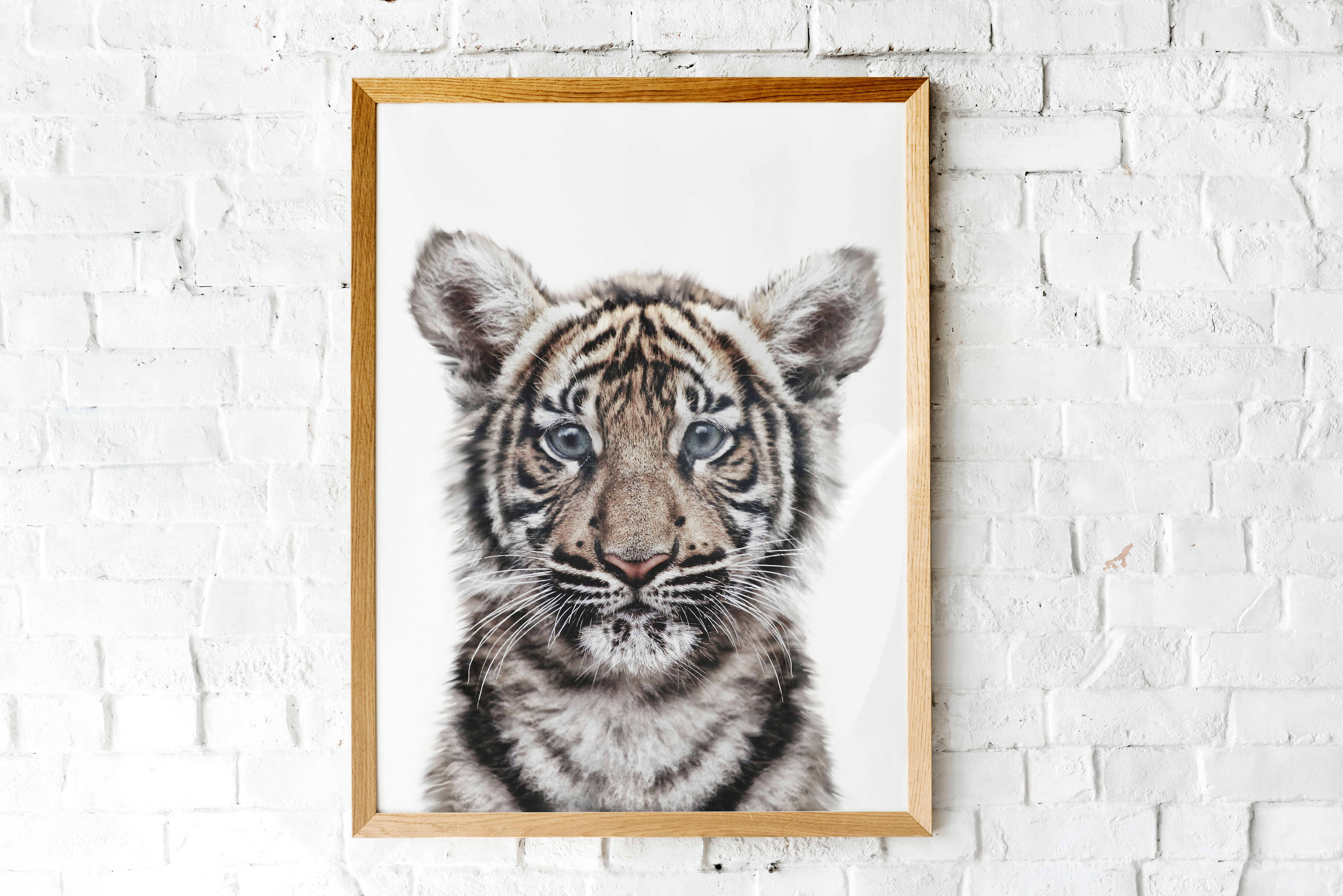 Baby tiger printable photographic nursery art