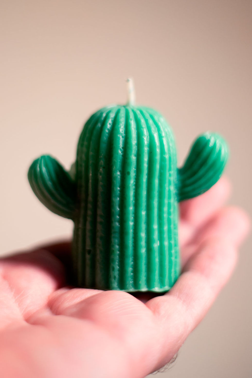 Miniatura: Vela decorativa en forma de cactus