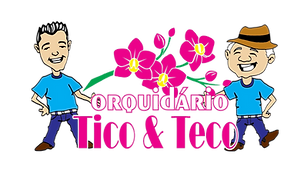 Design sem nome (4).png