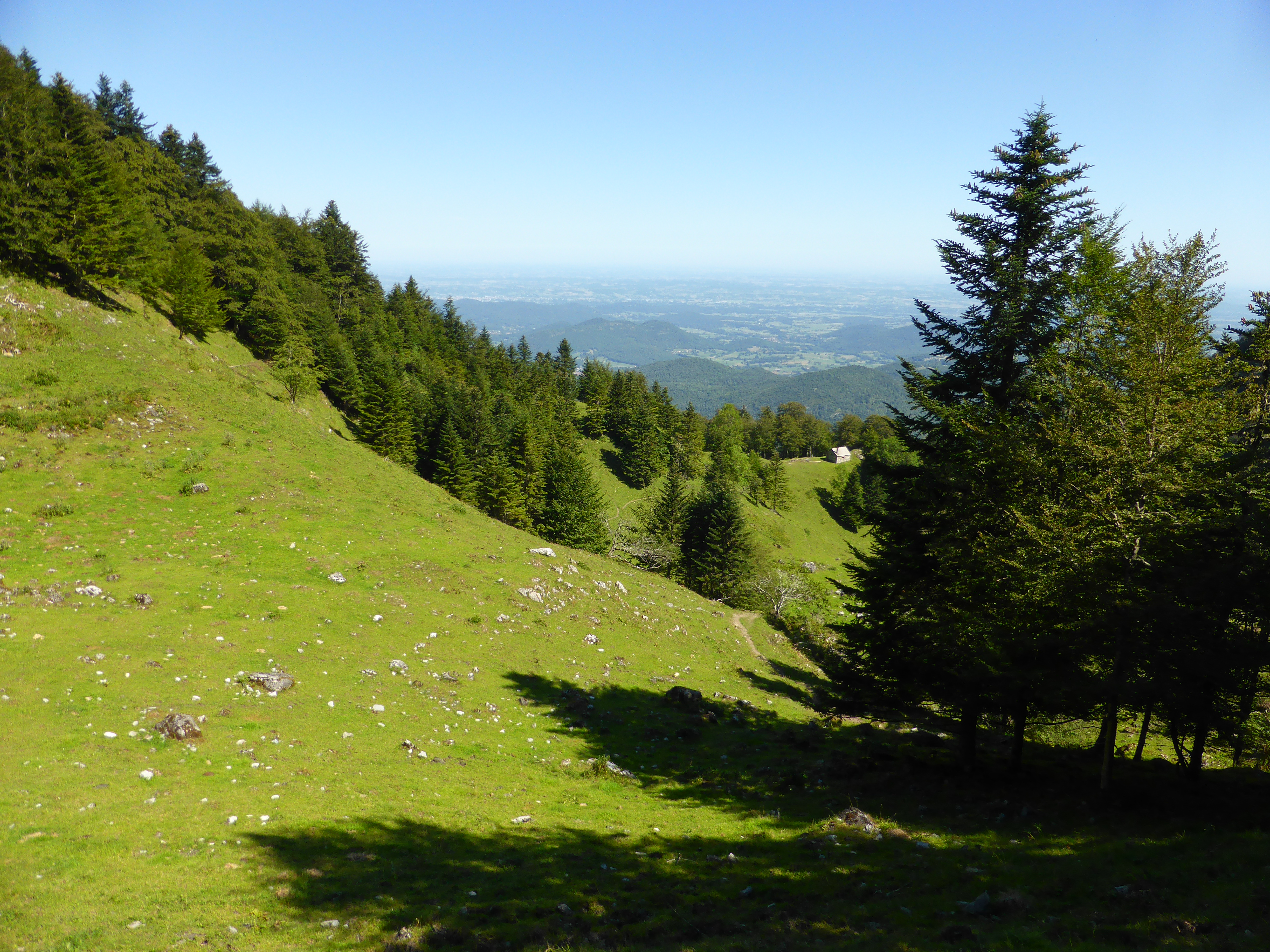 Sur les pentes du Cagire