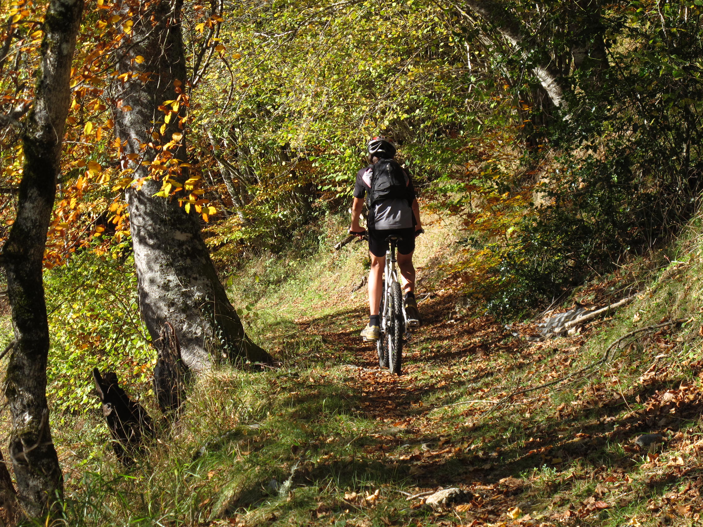 VTT dans les forêts du Comminges