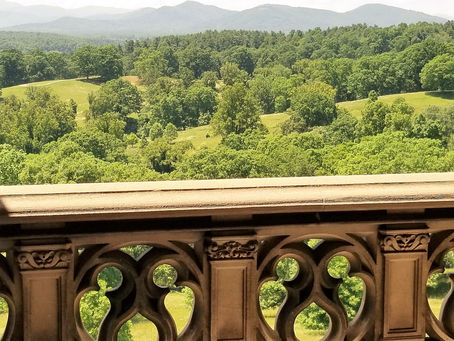 #GenreRemorse, Is the Grass Greener on Another Side?