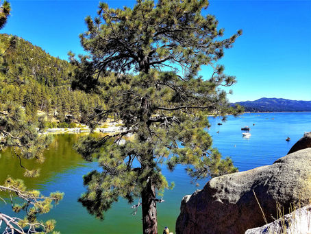 Veronica’s #WritersDiary, #Roadtrip, #Oktoberfest Style!