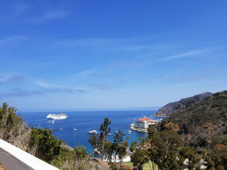 Island Fun and Mystery Too, #InspirationResearch (IR)