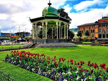 Veronica’s #WritersDiary, #Summertime is in the Air!