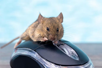 DPI des souris : Pourquoi la course aux DPI est une absurdité marketing ? Sauf pour les souris vertes.