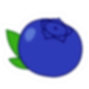 Image of Blueberry